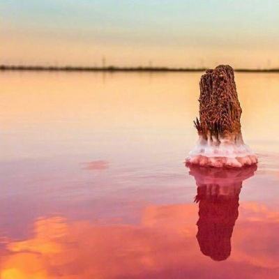 多款银行理财，发行失败！