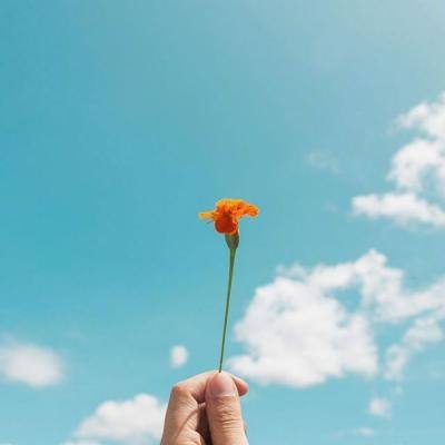 据伊朗媒体：伊朗对美国15点建议的回复已于昨晚通过中间人正式送达。