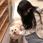 ATX-6152提供强劲AI算力与灵活扩...